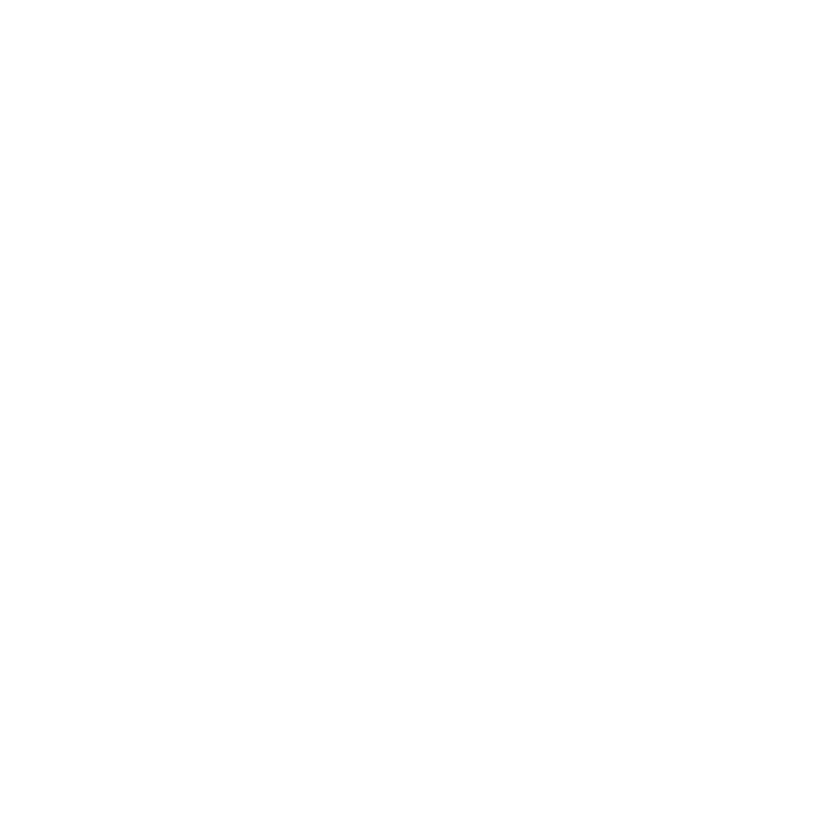 Customer Review Icon