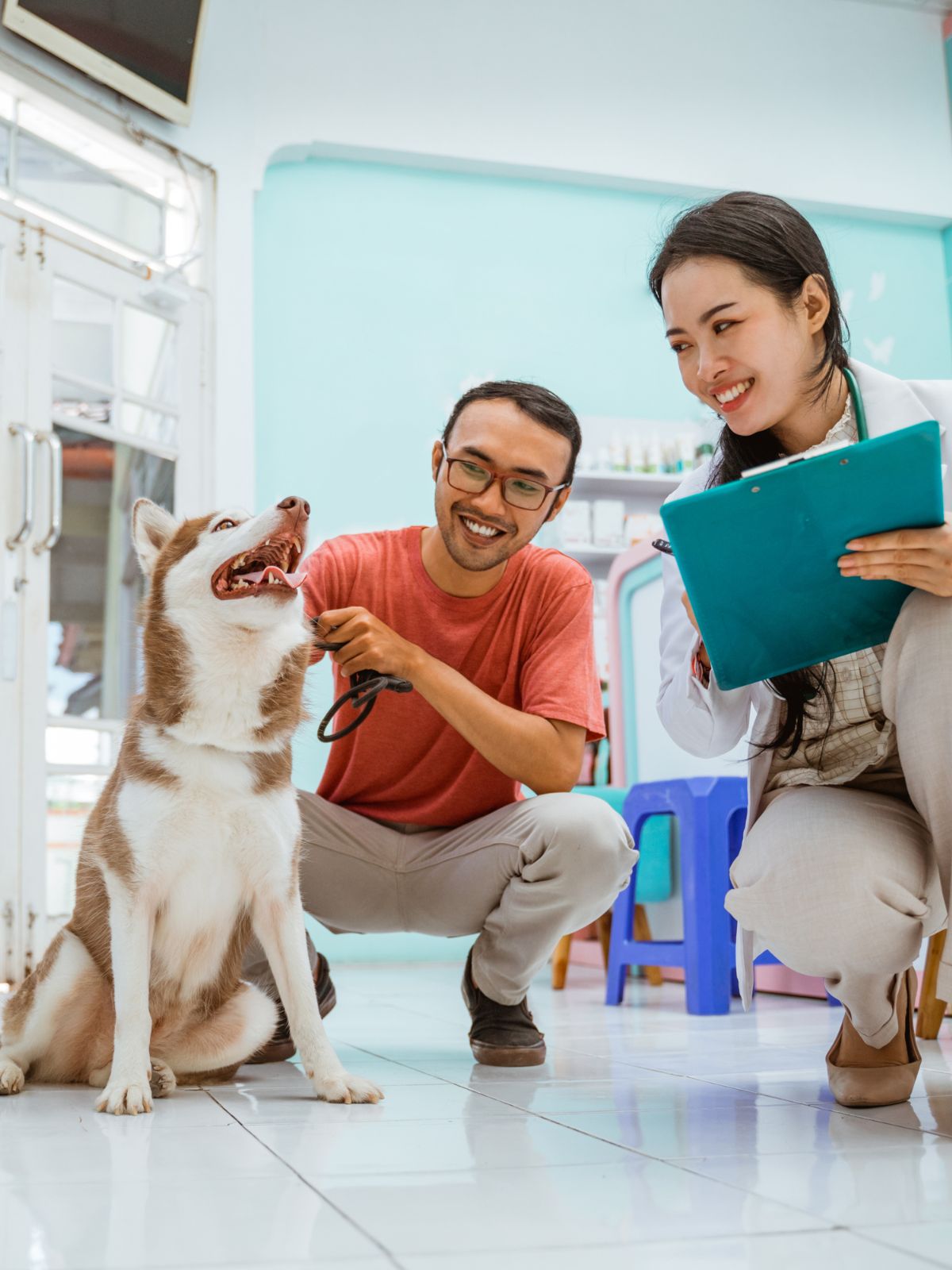 a joyful dog sits on the floor while a person kneels beside it