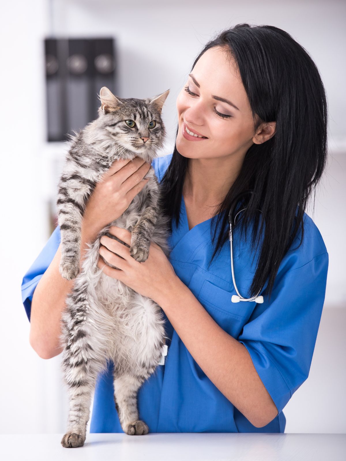 a veterinarian holds a cat