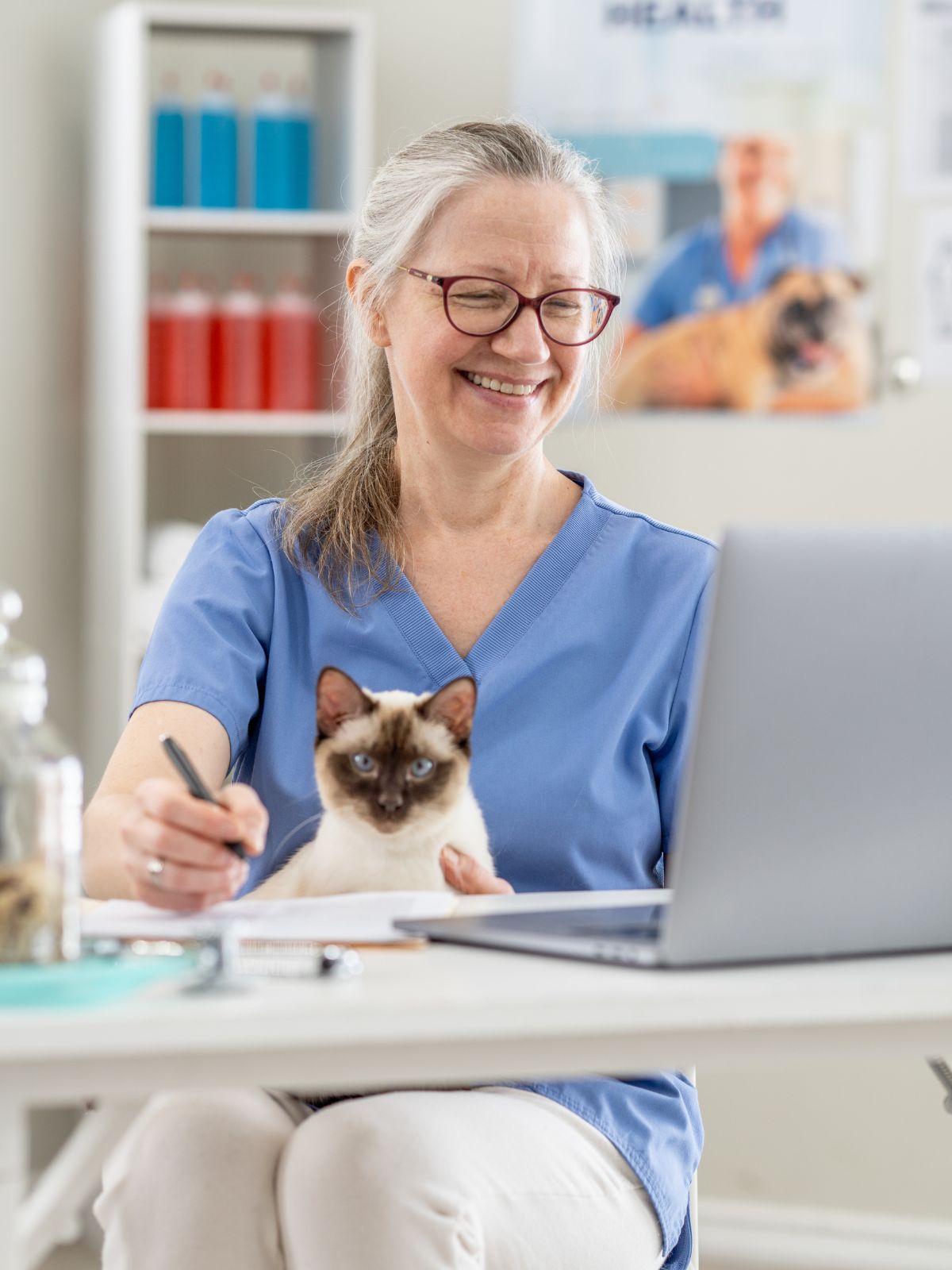 a vet sits at a desk with a laptop and cat rests in her lap