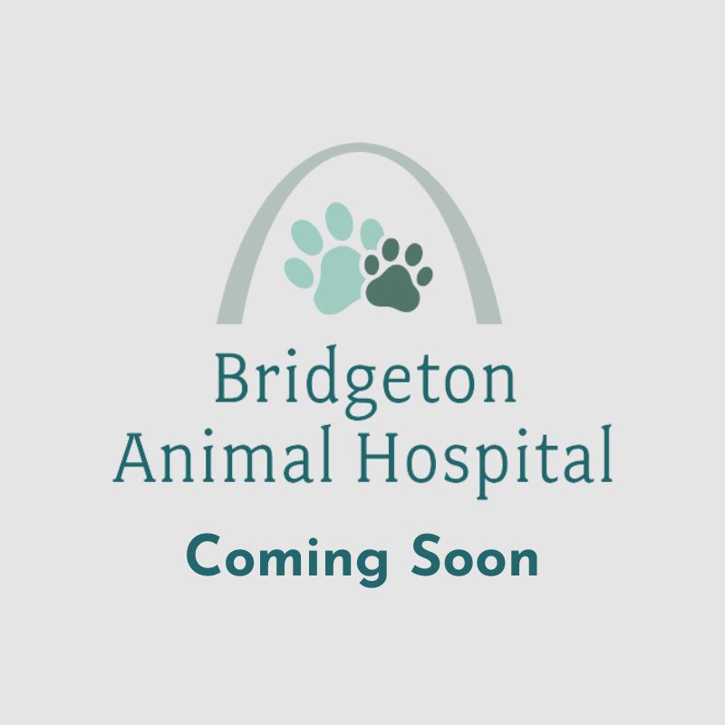 coming soon coming soon placeholder