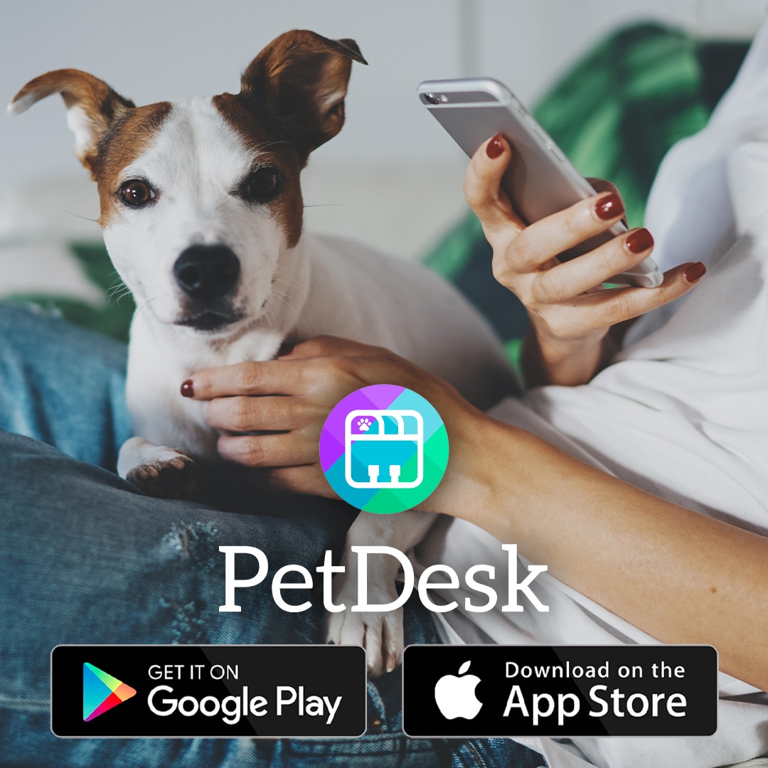 Pet Desk Graphics